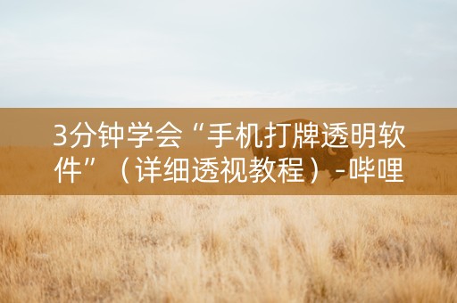 3分钟学会“手机打牌透明软件”（详细透视教程）-哔哩哔哩