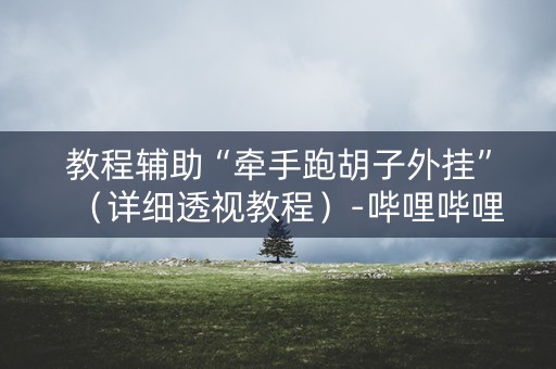 教程辅助“牵手跑胡子外挂”（详细透视教程）-哔哩哔哩