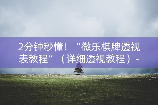 2分钟秒懂！“微乐棋牌透视表教程”（详细透视教程）-哔哩哔哩