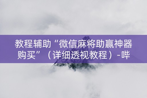 教程辅助“微信麻将助赢神器购买”（详细透视教程）-哔哩哔哩