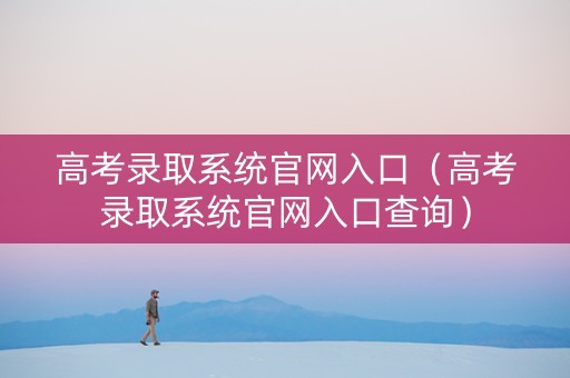 高考录取系统官网入口（高考录取系统官网入口查询）