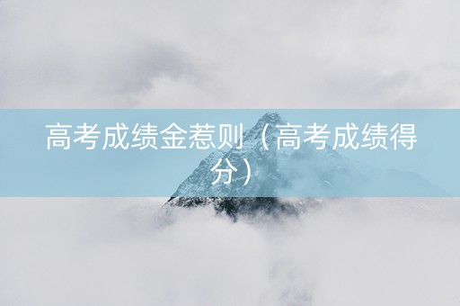 高考成绩金惹则（高考成绩得分）