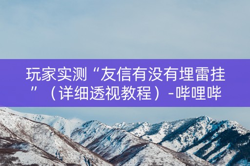 玩家实测“友信有没有埋雷挂”（详细透视教程）-哔哩哔哩