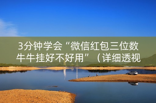 3分钟学会“微信红包三位数牛牛挂好不好用”（详细透视教程）-哔哩哔哩
