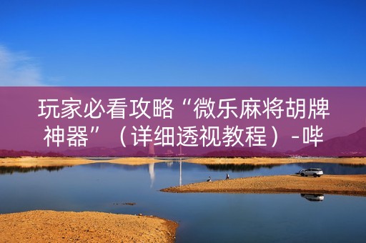 玩家必看攻略“微乐麻将胡牌神器”（详细透视教程）-哔哩哔哩