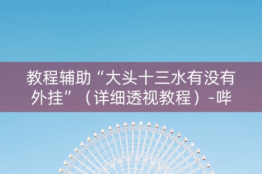 教程辅助“大头十三水有没有外挂”（详细透视教程）-哔哩哔哩