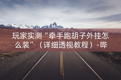 玩家实测“牵手跑胡子外挂怎么装”（详细透视教程）-哔哩哔哩