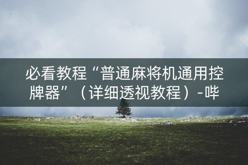 必看教程“普通麻将机通用控牌器”（详细透视教程）-哔哩哔哩