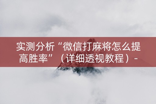 实测分析“微信打麻将怎么提高胜率”（详细透视教程）-哔哩哔哩