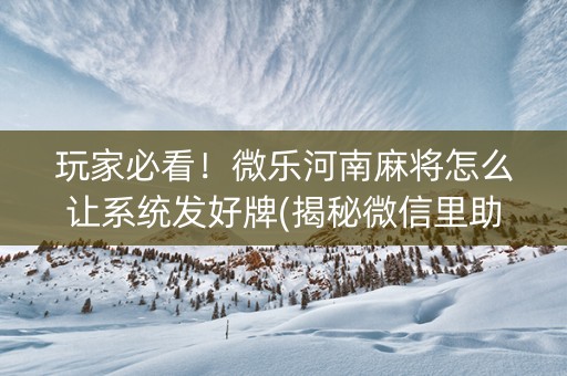 玩家必看！微乐河南麻将怎么让系统发好牌(揭秘微信里助手软件)