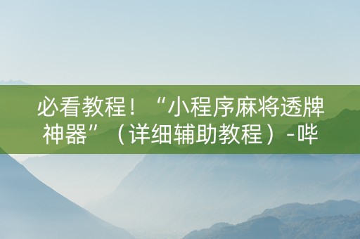 必看教程！“小程序麻将透牌神器”（详细辅助教程）-哔哩哔哩