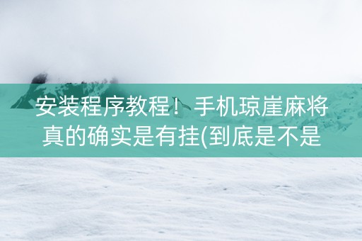 安装程序教程！手机琼崖麻将真的确实是有挂(到底是不是有挂)