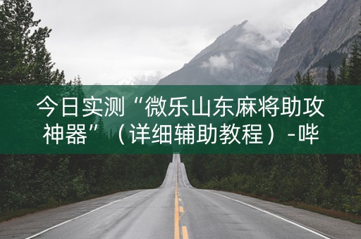 今日实测“微乐山东麻将助攻神器”（详细辅助教程）-哔哩哔哩