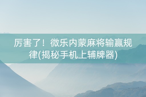 厉害了！微乐内蒙麻将输赢规律(揭秘手机上辅牌器)