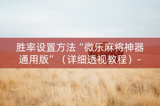 胜率设置方法“微乐麻将神器通用版”（详细透视教程）-哔哩哔哩