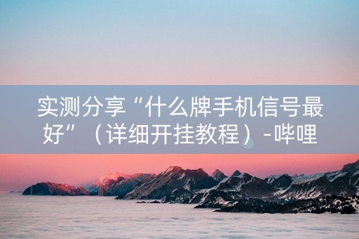 实测分享“什么牌手机信号最好”（详细开挂教程）-哔哩哔哩