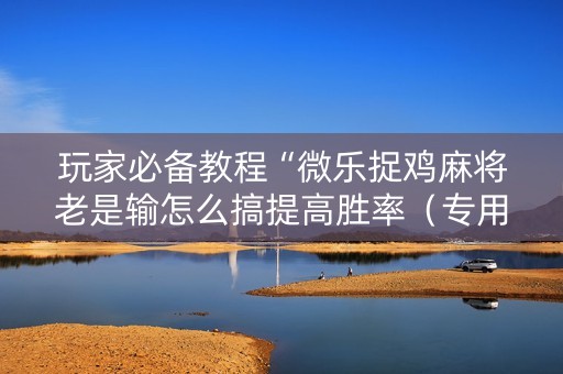 玩家必备教程“微乐捉鸡麻将老是输怎么搞提高胜率（专用辅牌神器免安装）