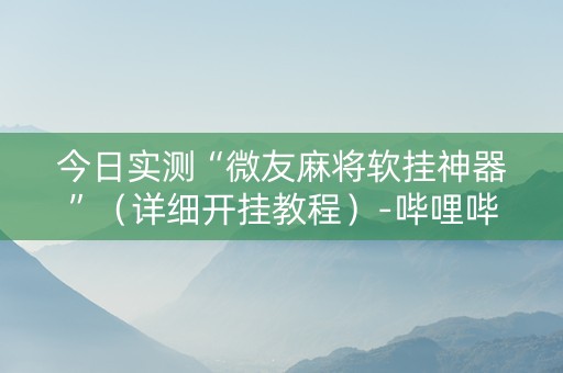 今日实测“微友麻将软挂神器”（详细开挂教程）-哔哩哔哩