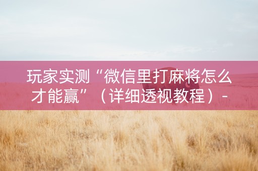 玩家实测“微信里打麻将怎么才能赢”（详细透视教程）-哔哩哔哩