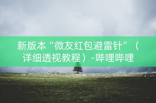 新版本“微友红包避雷针”（详细透视教程）-哔哩哔哩