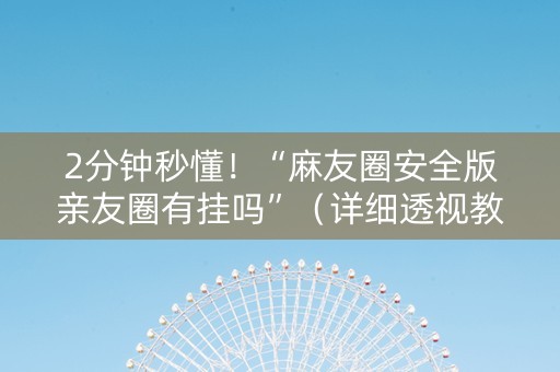 2分钟秒懂！“麻友圈安全版亲友圈有挂吗”（详细透视教程）-哔哩哔哩