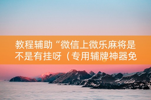 教程辅助“微信上微乐麻将是不是有挂呀（专用辅牌神器免安装）