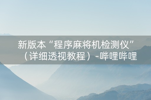 新版本“程序麻将机检测仪”（详细透视教程）-哔哩哔哩
