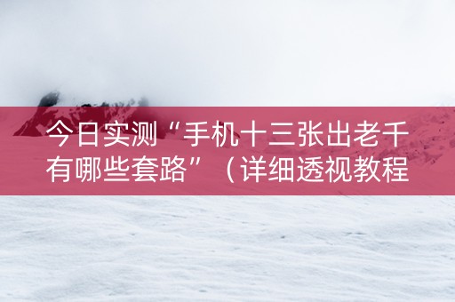 今日实测“手机十三张出老千有哪些套路”（详细透视教程）-哔哩哔哩