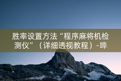 胜率设置方法“程序麻将机检测仪”（详细透视教程）-哔哩哔哩