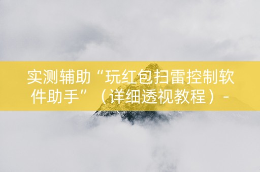 实测辅助“玩红包扫雷控制软件助手”（详细透视教程）-哔哩哔哩