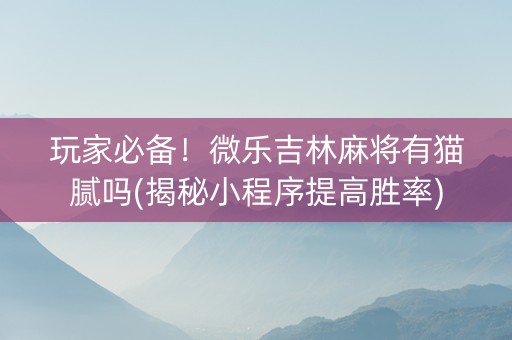 玩家必备！微乐吉林麻将有猫腻吗(揭秘小程序提高胜率)