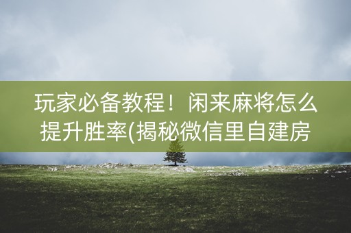 玩家必备教程！闲来麻将怎么提升胜率(揭秘微信里自建房怎么赢)