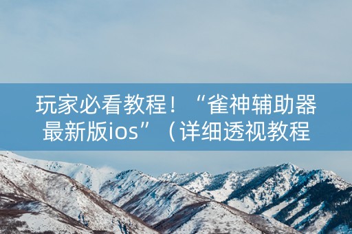 玩家必看教程！“雀神辅助器最新版ios”（详细透视教程）-哔哩哔哩