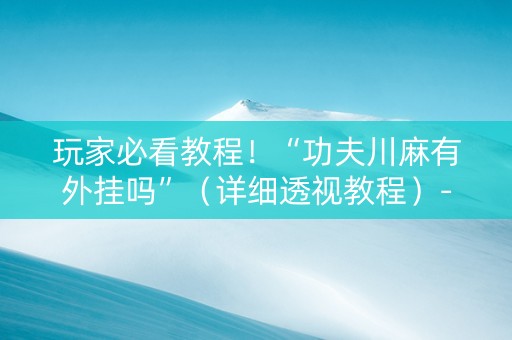 玩家必看教程！“功夫川麻有外挂吗”（详细透视教程）-哔哩哔哩