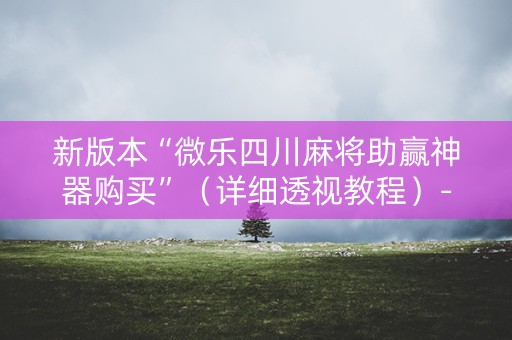 新版本“微乐四川麻将助赢神器购买”（详细透视教程）-哔哩哔哩