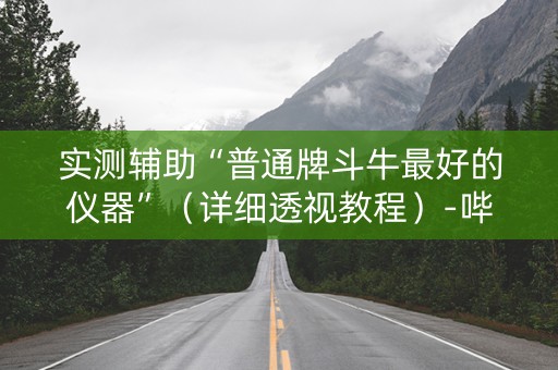 实测辅助“普通牌斗牛最好的仪器”（详细透视教程）-哔哩哔哩