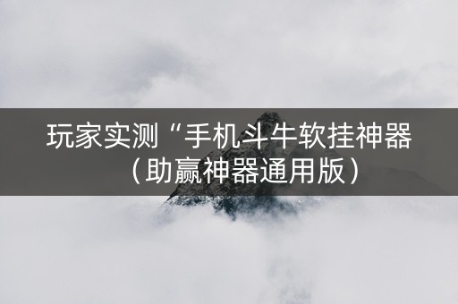 玩家实测“手机斗牛软挂神器（助赢神器通用版）