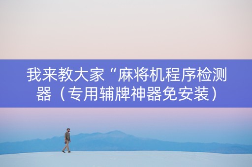 我来教大家“麻将机程序检测器（专用辅牌神器免安装）