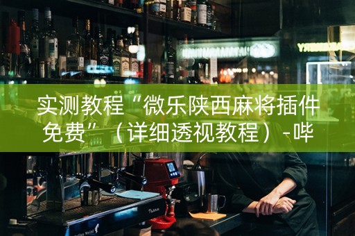 实测教程“微乐陕西麻将插件免费”（详细透视教程）-哔哩哔哩