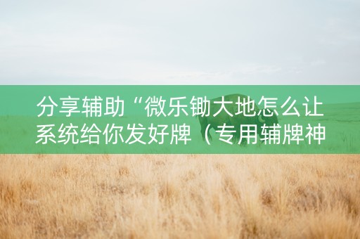 分享辅助“微乐锄大地怎么让系统给你发好牌（专用辅牌神器免安装）