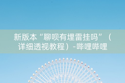 新版本“聊呗有埋雷挂吗”（详细透视教程）-哔哩哔哩