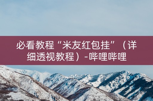 必看教程“米友红包挂”（详细透视教程）-哔哩哔哩