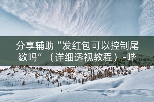 分享辅助“发红包可以控制尾数吗”（详细透视教程）-哔哩哔哩
