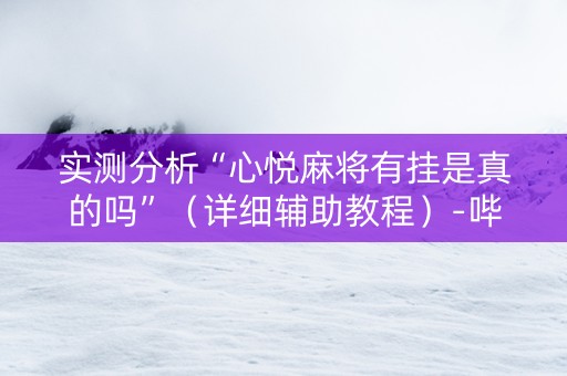 实测分析“心悦麻将有挂是真的吗”（详细辅助教程）-哔哩哔哩