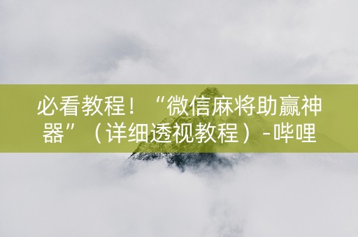 必看教程！“微信麻将助赢神器”（详细透视教程）-哔哩哔哩