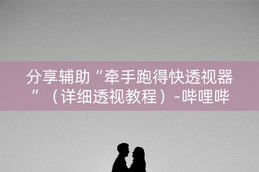 分享辅助“牵手跑得快透视器”（详细透视教程）-哔哩哔哩