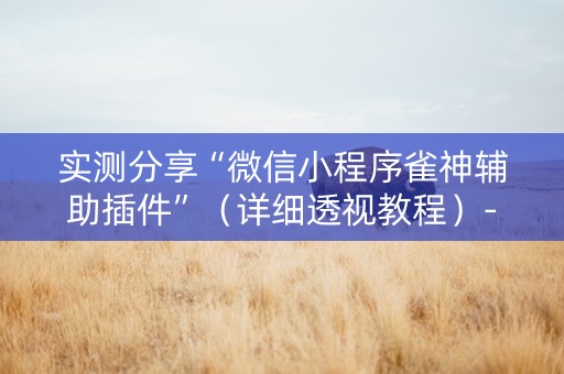 实测分享“微信小程序雀神辅助插件”（详细透视教程）-哔哩哔哩