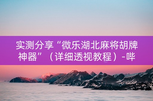 实测分享“微乐湖北麻将胡牌神器”（详细透视教程）-哔哩哔哩