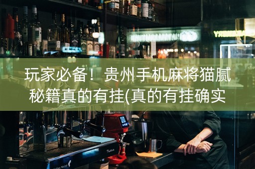 玩家必备！贵州手机麻将猫腻秘籍真的有挂(真的有挂确实有挂)