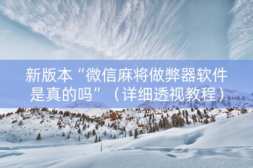 新版本“微信麻将做弊器软件是真的吗”（详细透视教程）-哔哩哔哩